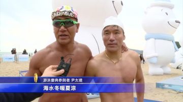 冬季大海好温馨 韩国釜山游泳庆典