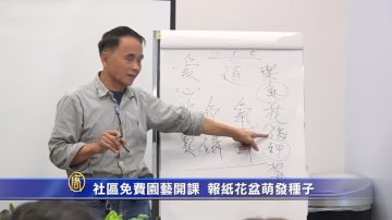 社区免费园艺开课  报纸花盆萌发种子