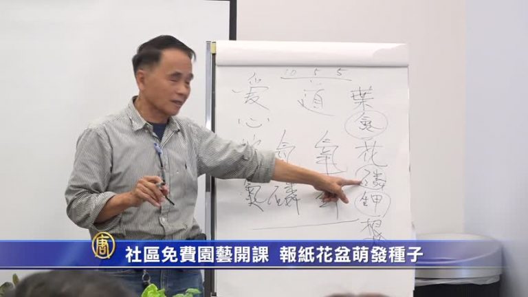 社區免費園藝開課  報紙花盆萌發種子
