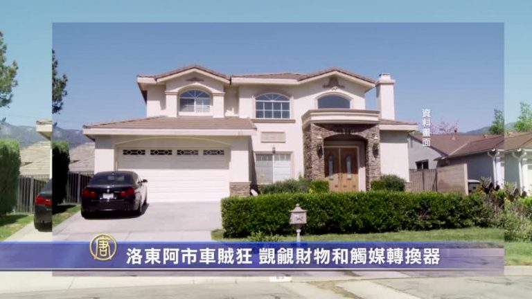 洛東阿市車賊狂 覬覦財物和觸媒轉換器