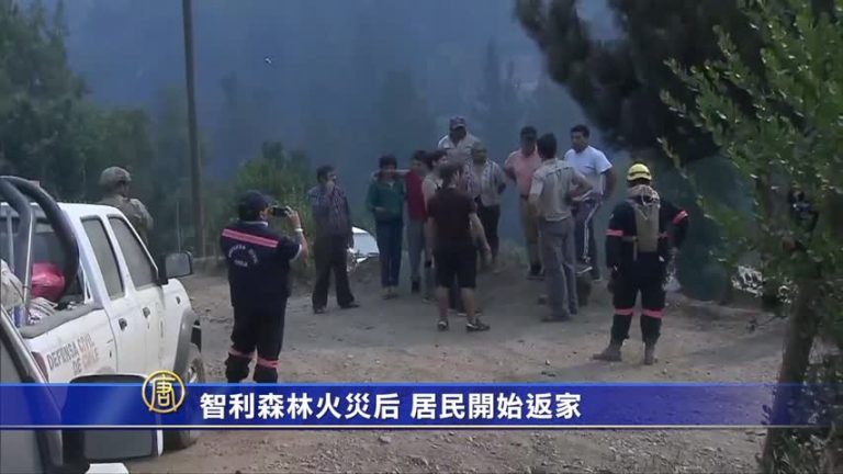 智利森林火災后 居民開始返家