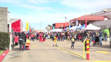 庆中国新年  休市八千人逛游园会