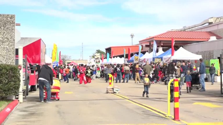 慶中國新年  休市八千人逛遊園會