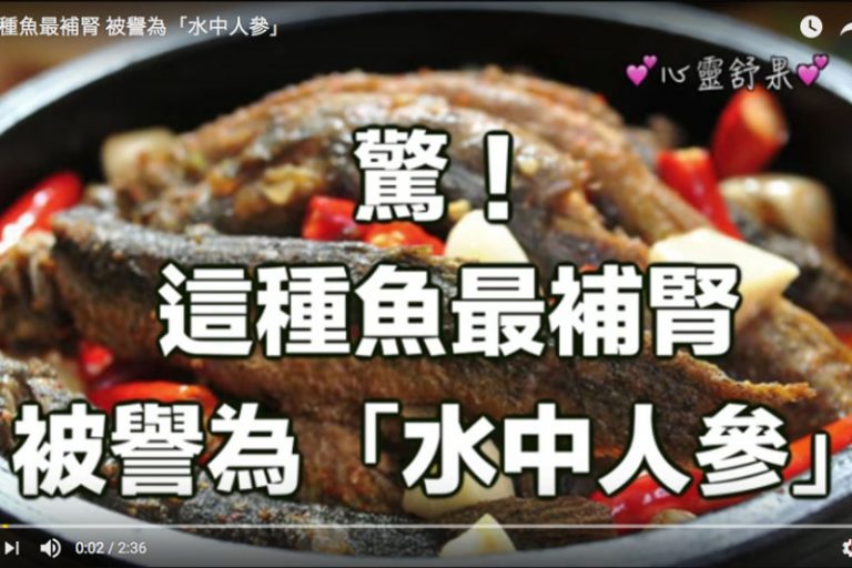 魚能補腎！這種魚這樣吃功效最強