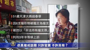 【禁闻】仿真枪成话题 只许官卖 不许民有？