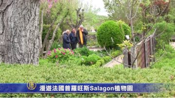 漫遊法國普羅旺斯Salagon植物園