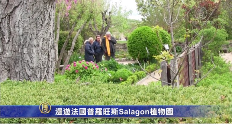 漫遊法國普羅旺斯Salagon植物園