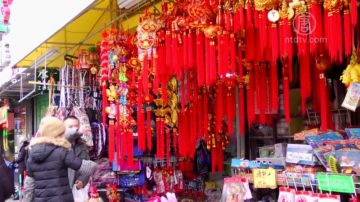 迎中国年 布鲁克林华人采办年货忙