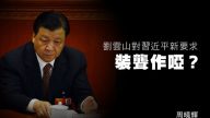 周晓辉：刘云山对习近平新要求装聋作哑