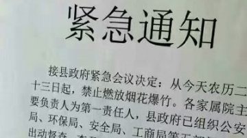 「鎮反」捲土重來？河南伊川縣長下達過年抓人指標