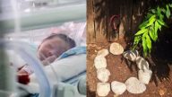 媽媽早產生下死胎，外婆將她埋在後院；父親回來後，從土中挖出她，竟然活著