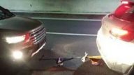 深夜汽車熄火  司機脫褲解「燃油之急」