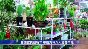 花开富贵迎新年 布鲁克林八大道花市旺