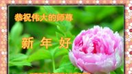 在大陸公檢法司、政府工作的法輪功學員給李洪志大師拜年