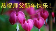 教育系統法輪功學員恭祝李洪志大師新年好