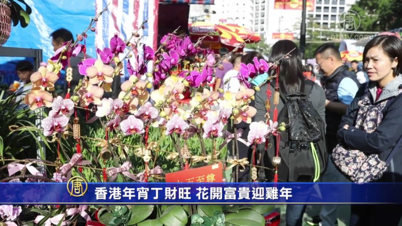 香港年宵丁財旺 花開富貴迎雞年