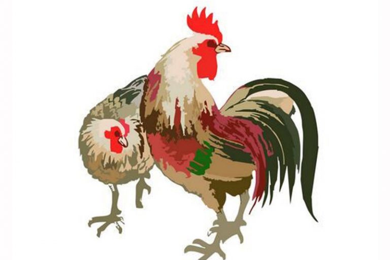 雞年到，請先讀完這兩個短故事，再開始您的2017年！
