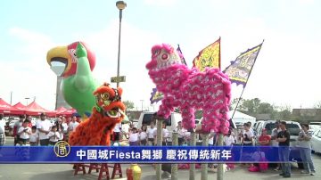 中國城Fiesta舞獅 慶祝傳統新年