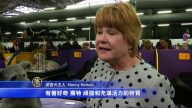 威斯敏斯特狗狗展  2千萌犬亮相