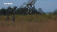 無人機在黑鷹面前 竟然毫無招架之力(視頻)