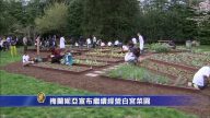梅蘭妮亞宣布繼續經營白宮菜園