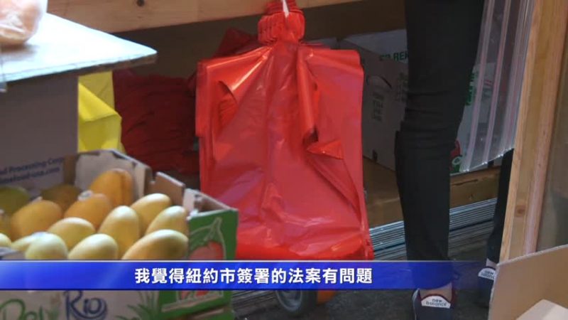 纽约塑料袋收费叫停  议员推环保袋减税法案