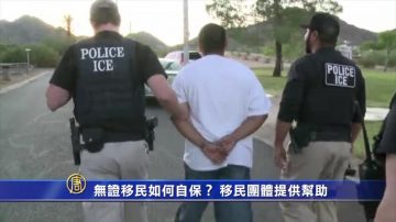 无证移民如何自保？ 移民团体提供帮助（移民政策系列报导七）