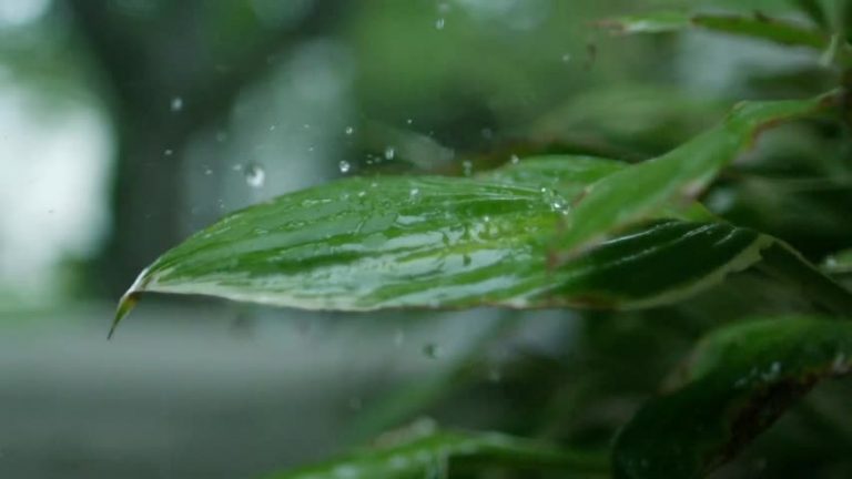 大氣河流挾暴雨襲南加 週六晚前防山洪