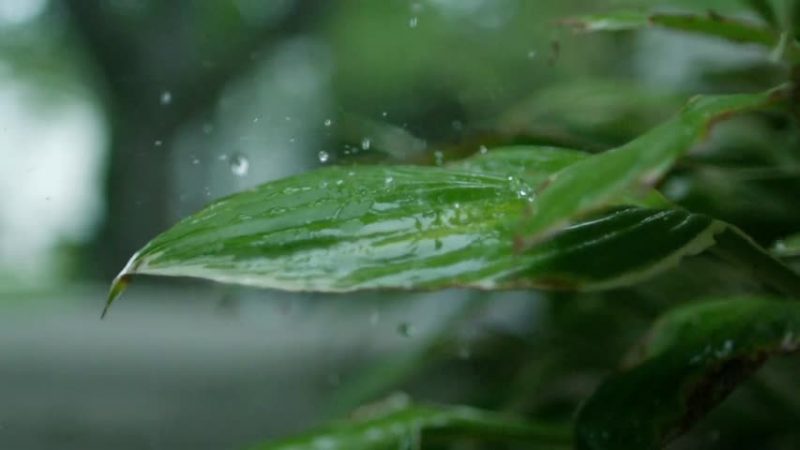 大气河流挟暴雨袭南加 周六晚前防山洪