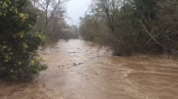 大雨過後 舊金山灣水變黃漂浮物多