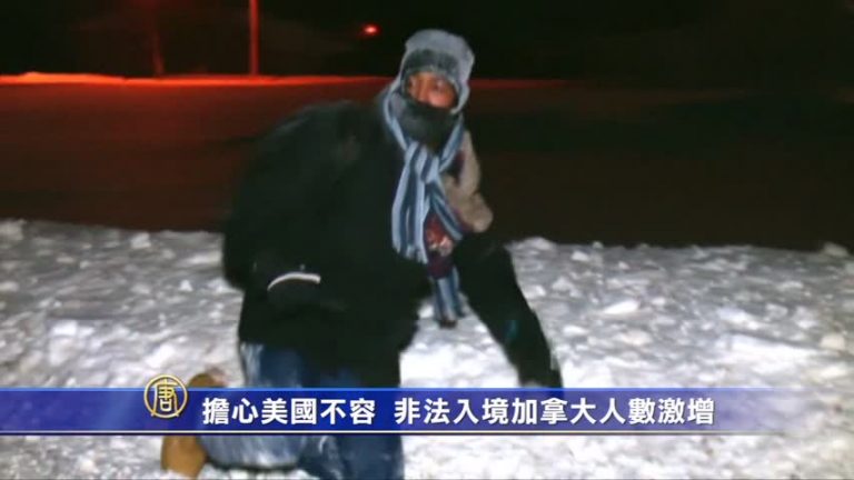 擔心美國不容 非法入境加拿大人數激增