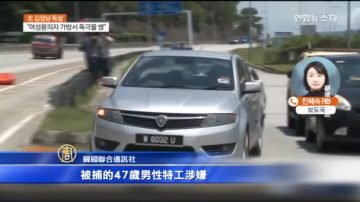 馬警逮金正男案第四嫌 男子持朝鮮護照