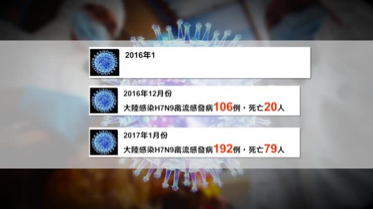 【微視頻】中共掩蓋真相過年大陸79人禽流感死亡