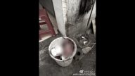 因一元差價 武漢麵館老闆頭顱被砍