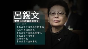 原北京市副委书记吕锡文被判13年