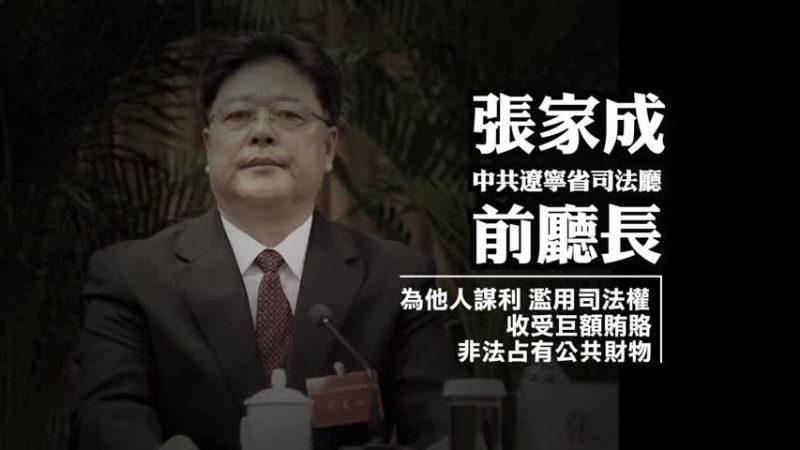 前遼寧司法廳長落馬 兒子同謀被判刑