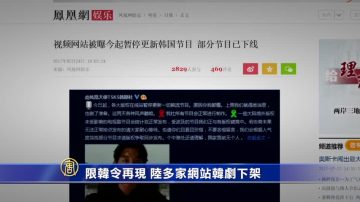 限韓令再現 陸多家網站韓劇下架