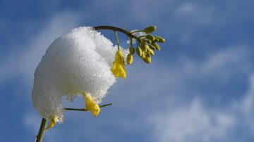 今日立春！這十件事絕對不能做！