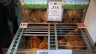 中国H7N9疫情攀升 医生：勿接触禽鸟 鸡蛋要煮熟