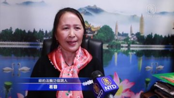 元宵佳节 法轮功学员华人社区送祝福