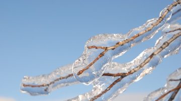 环境部：多伦多本周将有更多寒冷天气