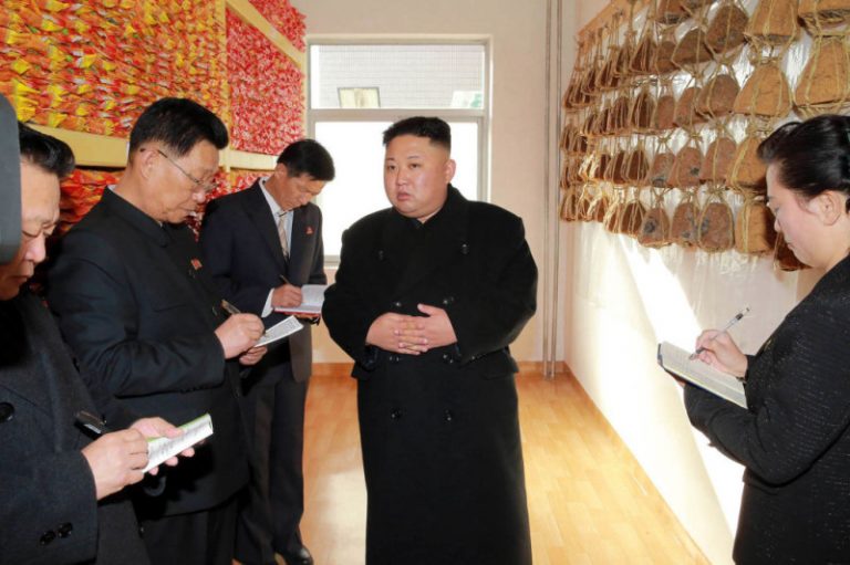 揭金正恩嗜血嘴臉 脫北者爆: 張成澤案 千人被殺 2萬人株連