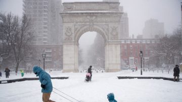 轻松对待暴风雪 恐龙也出门铲雪
