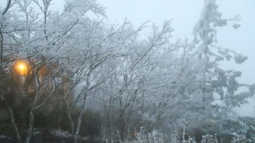 寒流來襲上山追雪 預防高山症3妙方