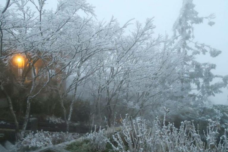 寒流來襲上山追雪 預防高山症3妙方