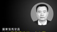 陈思敏：广东落马官员涉江泽民张德江一大心事