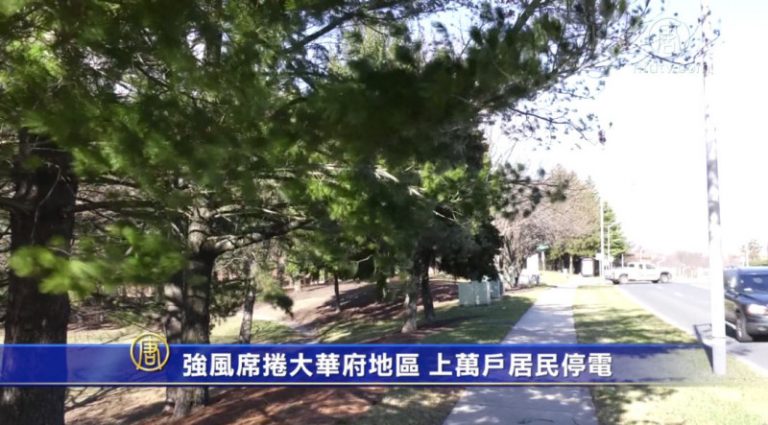 強風席捲大華府地區 上萬戶居民停電