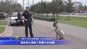 休斯顿警犬穿上新保护背心 执勤更安全