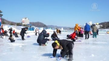 【你好韓國】2017平昌鱒魚慶典現場