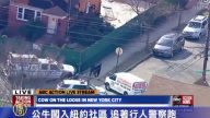 公牛闖入紐約社區 追著行人警察跑